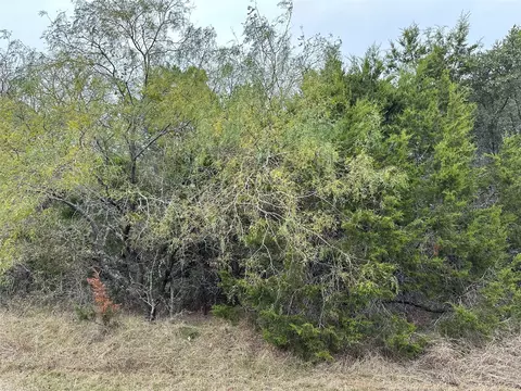 30044 Stonedale Dr, Whitney, TX 76692