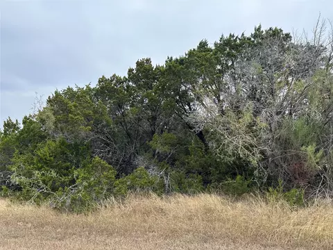 33029 Woodcrest Dr, Whitney, TX 76692