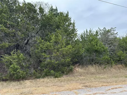 43164 Thistle Trl, Whitney, TX 76692