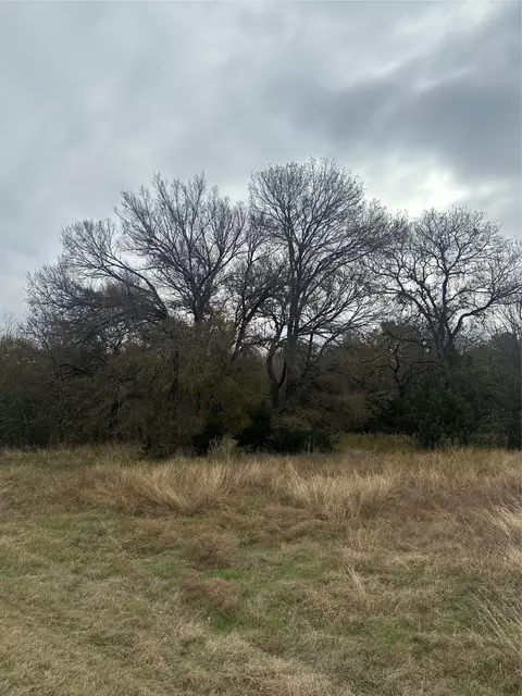 44080 Mountain Sage Dr, Whitney, TX 76692