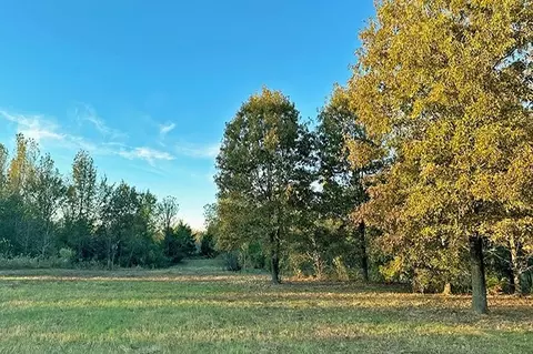 000 Cr 4885, Winnsboro, TX 75494