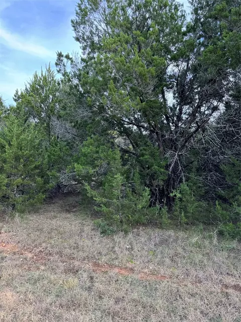 32049 Dove Trl, Whitney, TX 76692
