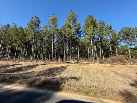 000 Grace Ln #LOT 9, Gloster, LA 71030 photo 3