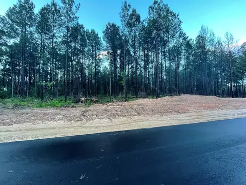 000 Grace Ln #LOT 9, Gloster, LA 71030 photo 6