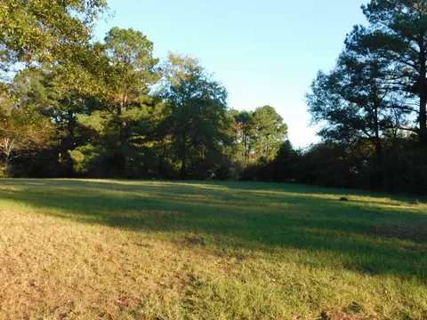 507 NW 12th St, Springhill, LA 71075 photo 31