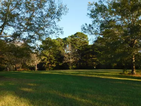 507 NW 12th St, Springhill, LA 71075 photo 30