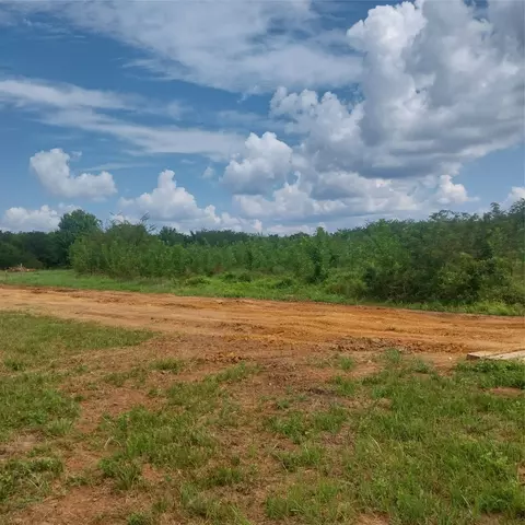 1085 Deen Point Rd, Benton, LA 71006 photo 4