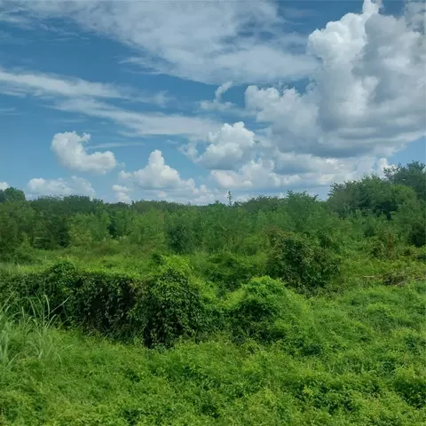 1085 Deen Point Rd, Benton, LA 71006 photo 7