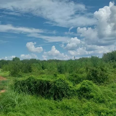1085 Deen Point Rd, Benton, LA 71006 photo 3