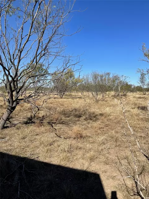 tbd Fm S 586, Bangs, TX 76823 photo 3