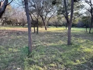 233 Oak St, Buffalo Gap, TX 79508