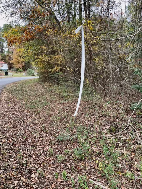 01 W J Beck Rd, Minden, LA 71055 photo 3