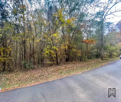01 W J Beck Rd, Minden, LA 71055 photo 6