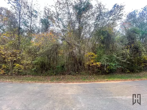 01 W J Beck Rd, Minden, LA 71055 photo 7