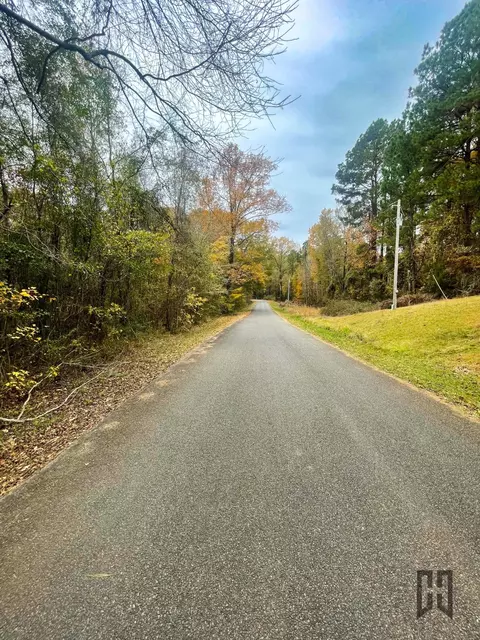 01 W J Beck Rd, Minden, LA 71055 photo 8