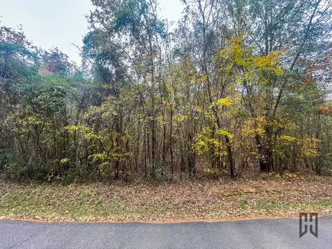 01 W J Beck Rd, Minden, LA 71055 photo 5