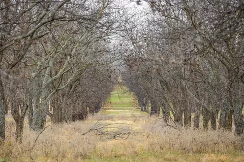 tbd County Road 430, Comanche, TX 76442 photo 14