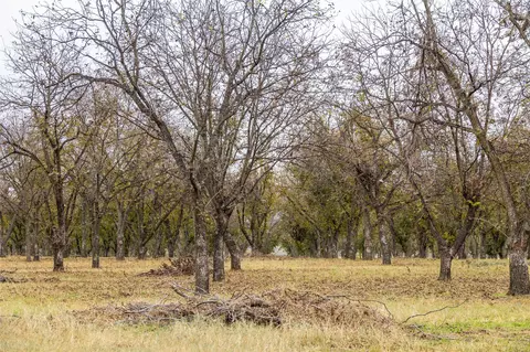 tbd County Road 430, Comanche, TX 76442 photo 23