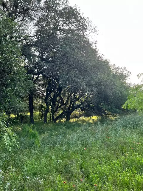 5 Tx-16, Comanche, TX 76442 photo 10