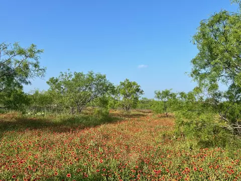 5 Tx-16, Comanche, TX 76442 photo 13
