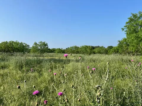 5 Tx-16, Comanche, TX 76442 photo 14