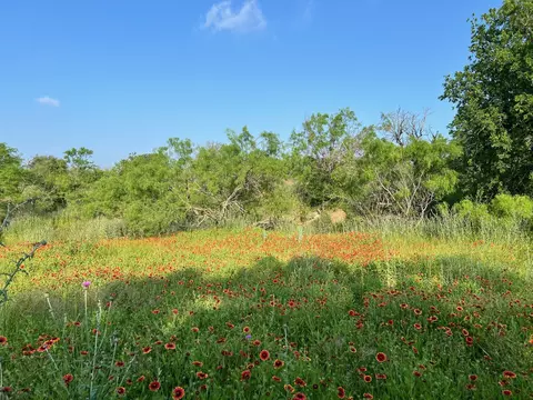 5 Tx-16, Comanche, TX 76442 photo 16