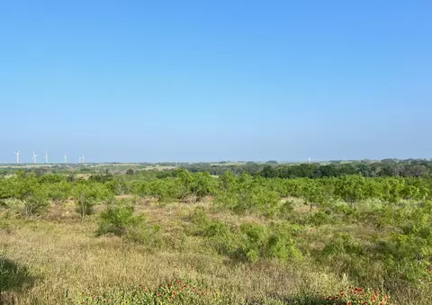 5 Tx-16, Comanche, TX 76442 photo 11