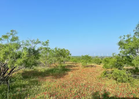 5 Tx-16, Comanche, TX 76442 photo 5