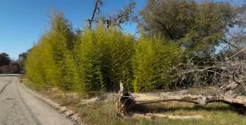 251 Timberline Dr, Whitney, TX 76692