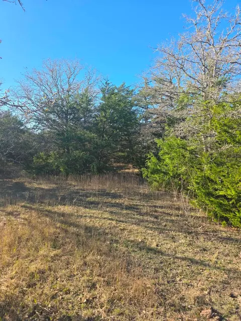 tbd Hills Rd, Ledbetter, TX 78946