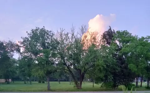 513 Oak St, Commerce, TX 75428