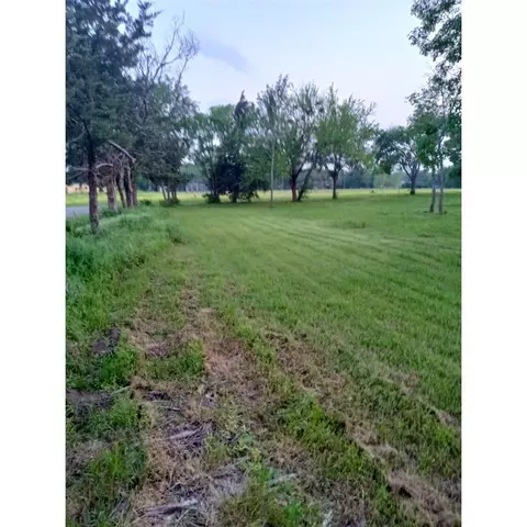 513 Oak St, Commerce, TX 75428 photo 3