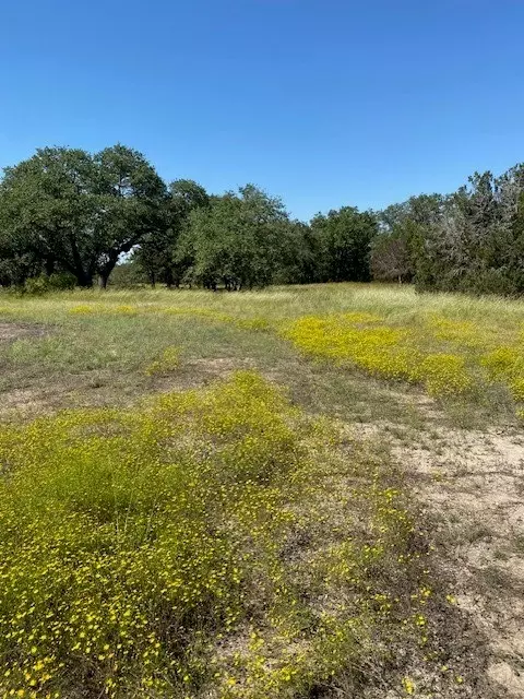 tbd Cr 4195, Clifton, TX 76634