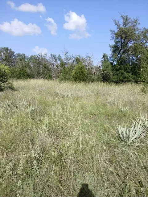 lot6 County Road 601, Brownwood, TX 76801