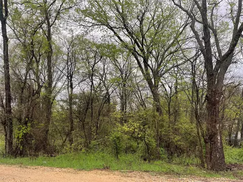246 4th St, Cooper, TX 75432 photo 2