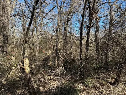tbd Irving Dr, Whitney, TX 76692