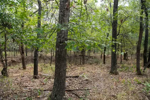 lot670 Oak Cove Ct, Bowie, TX 76230