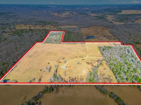 000 Cr 4915 Rd, Ben Wheeler, TX 75754