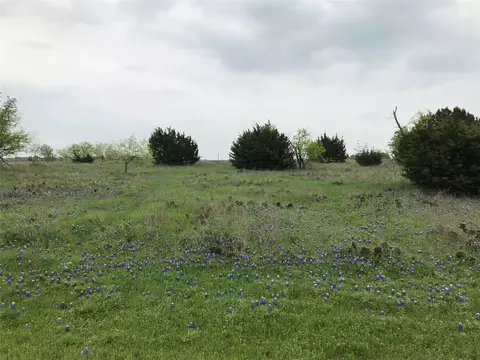 34020 Stonewood Dr, Whitney, TX 76692