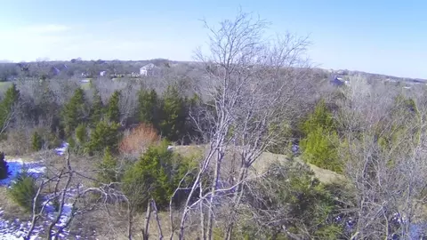 View/Area - 529 Celtic Rd, Howe, TX 75459 photo 5 of 5