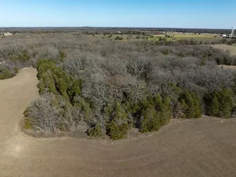 tbd County Road 2010, Ivanhoe, TX 75447 photo 8
