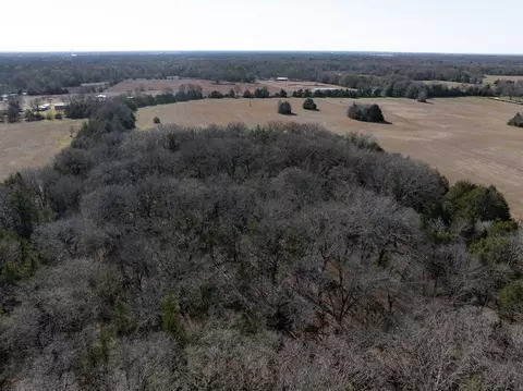 tbd County Road 2010, Ivanhoe, TX 75447 photo 4