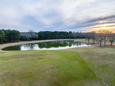 12880 E County Road 313, Tyler, TX 75708 photo 3