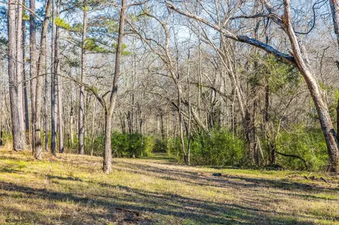 12880 E County Road 313, Tyler, TX 75708 photo 28