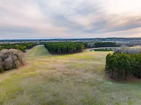 12880 E County Road 313, Tyler, TX 75708 photo 35