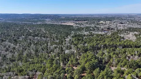0 An Cr 480, Palestine, TX 75803