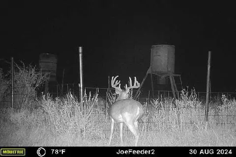 tbd County Road 124, Paducah, TX 79248