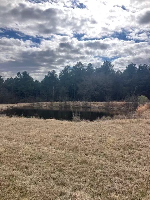 lot3 Cr 1813, Yantis, TX 75497