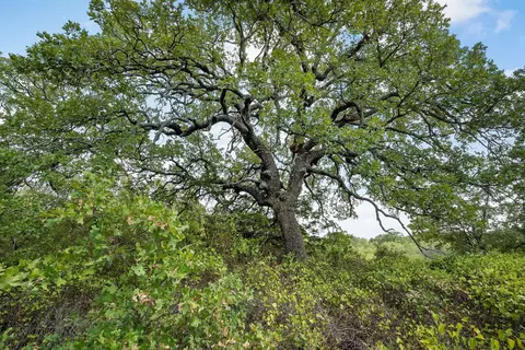 lot3 Wilson Road Rd S, Perrin, TX 76486