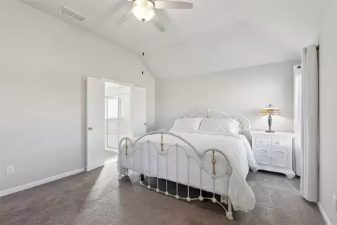 1617 Wayback Dr, Celina, TX 75009 photo 15